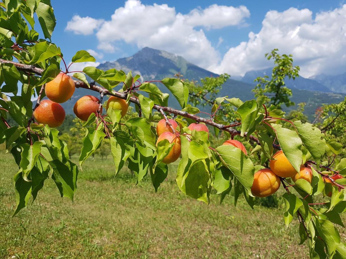 Agriturismo La Giasena Ponte nellʼAlpi エクステリア 写真