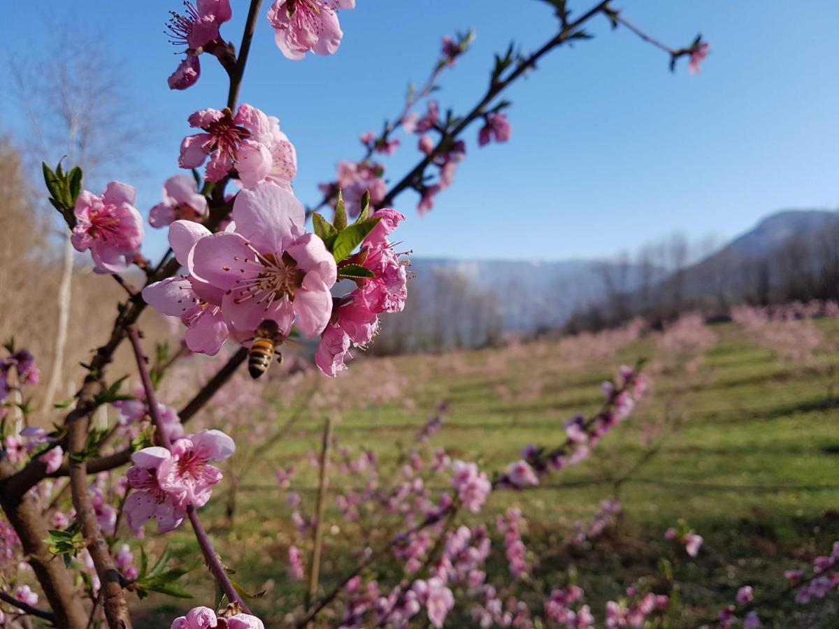 Agriturismo La Giasena Ponte nellʼAlpi エクステリア 写真
