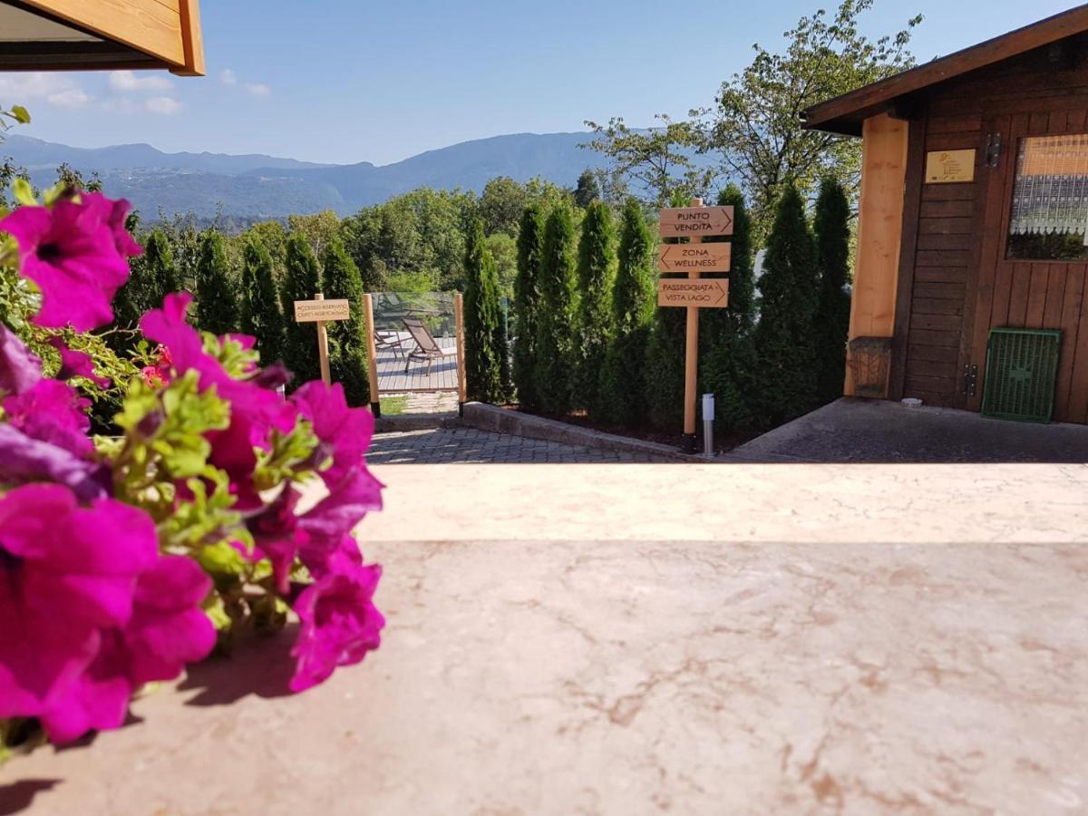 Agriturismo La Giasena Ponte nellʼAlpi エクステリア 写真